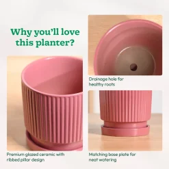 Roma Ceramic Pot