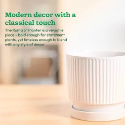 Roma Ceramic Pot
