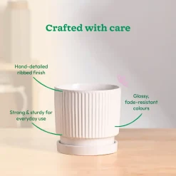 Roma Ceramic Pot
