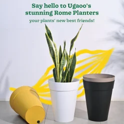 Rome Plastic Planter