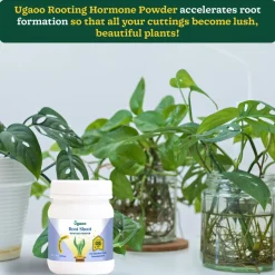 Rooting Hormone Powder - 50 g