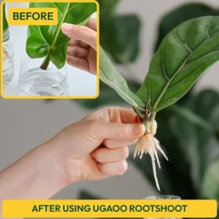 Rooting Hormone Powder - 50 g