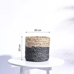 Sabai Grass Planter