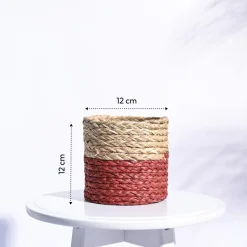 Sabai Grass Planter