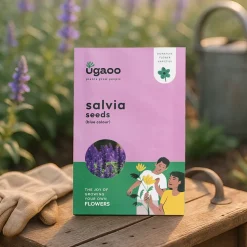 Salvia Blue Seeds