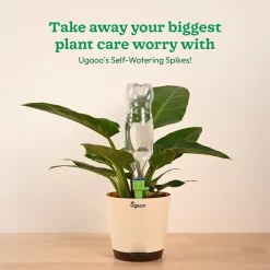 Self Watering Spikes