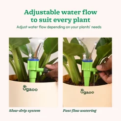 Self Watering Spikes