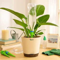 Self Watering Spikes