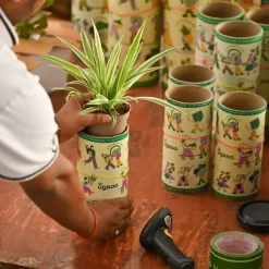 Set of 6 Easy Care Indoor Plants