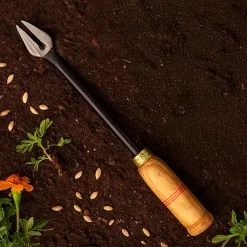 Single Prong Weeder