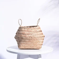 Sitalpati Planter