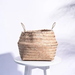 Sitalpati Planter