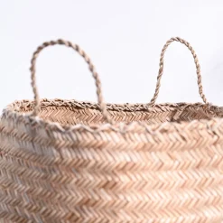 Sitalpati Planter