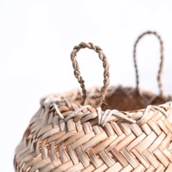 Sitalpati Planter