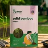 Solid Bamboo Seeds (Dendrocalamus Strictus) - 100 g