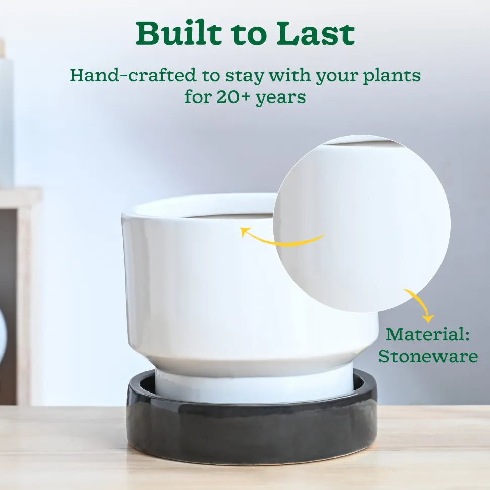 Soothing Rains Ceramic Planters