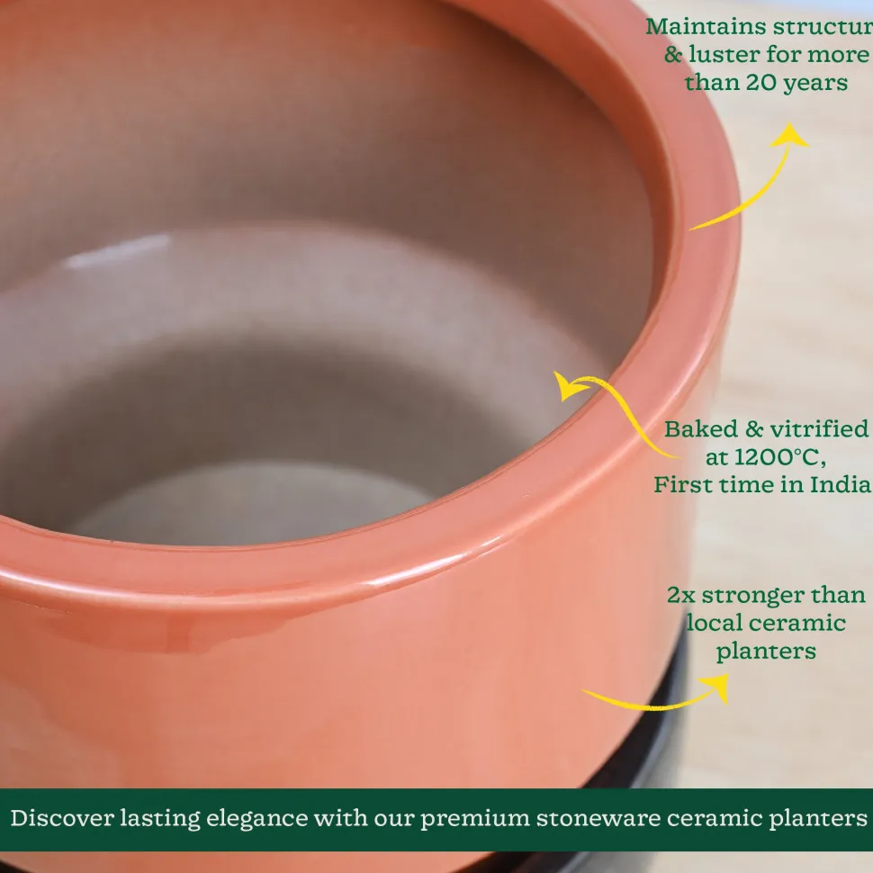 Soothing Rains Ceramic Planters