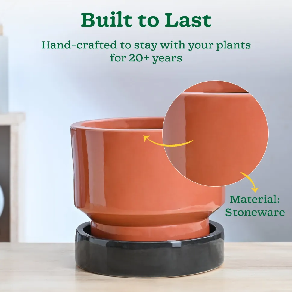 Soothing Rains Ceramic Planters