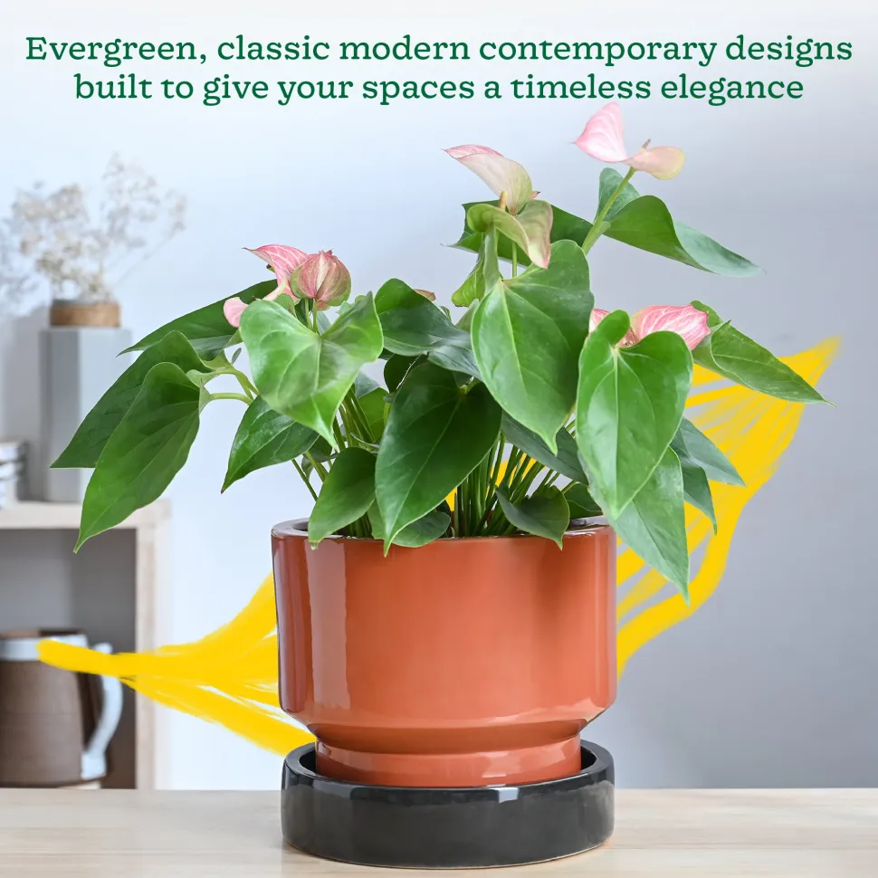 Soothing Rains Ceramic Planters