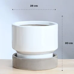 Soothing Rains Ceramic Planters