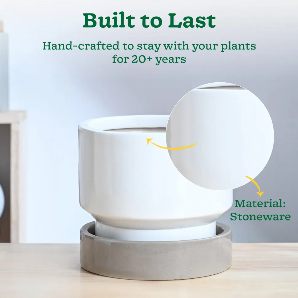 Soothing Rains Ceramic Planters