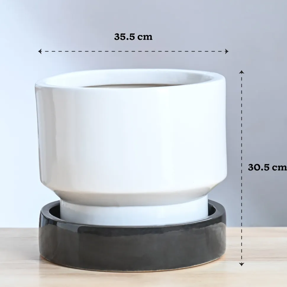 Soothing Rains Ceramic Planters