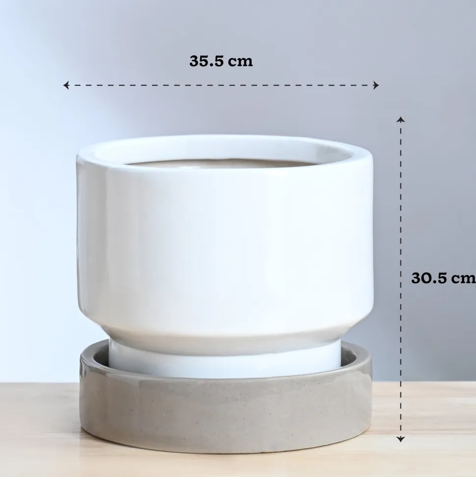 Soothing Rains Ceramic Planters