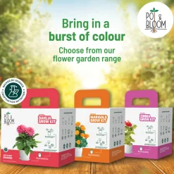Spinach Grow Kit