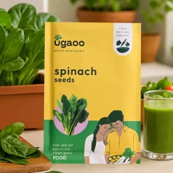 Spinach Seeds (Palak)