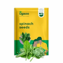 Spinach Seeds (Palak)