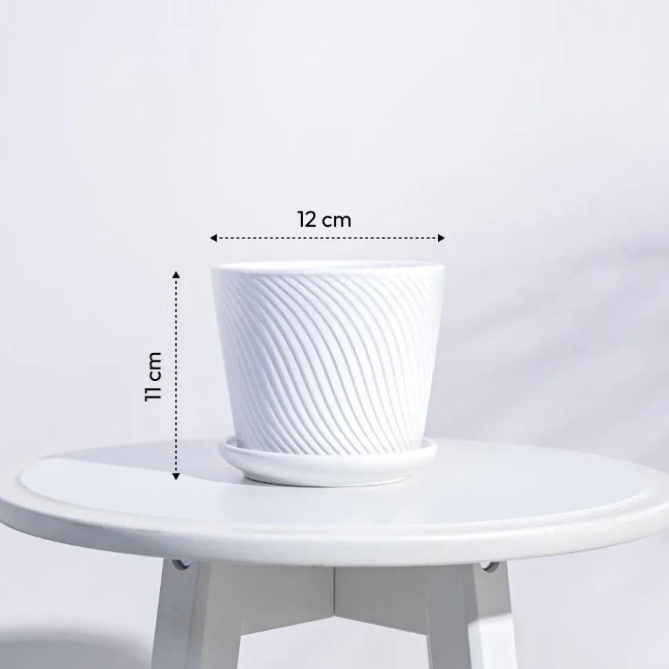 Spiro Ceramic Pot