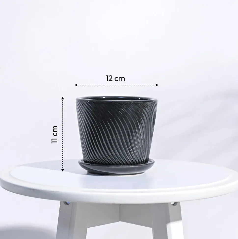 Spiro Ceramic Pot