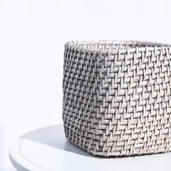 Square Cane Planter