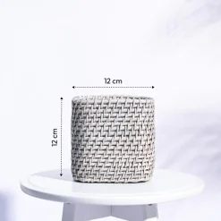 Square Cane Planter