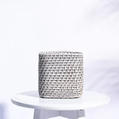 Square Cane Planter