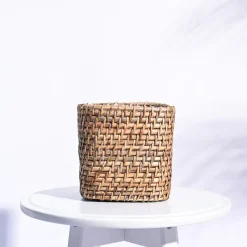 Square Cane Planter