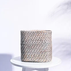 Square Cane Planter