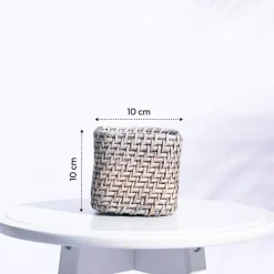 Square Cane Planter