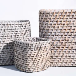 Square Cane Planter
