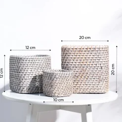 Square Cane Planter