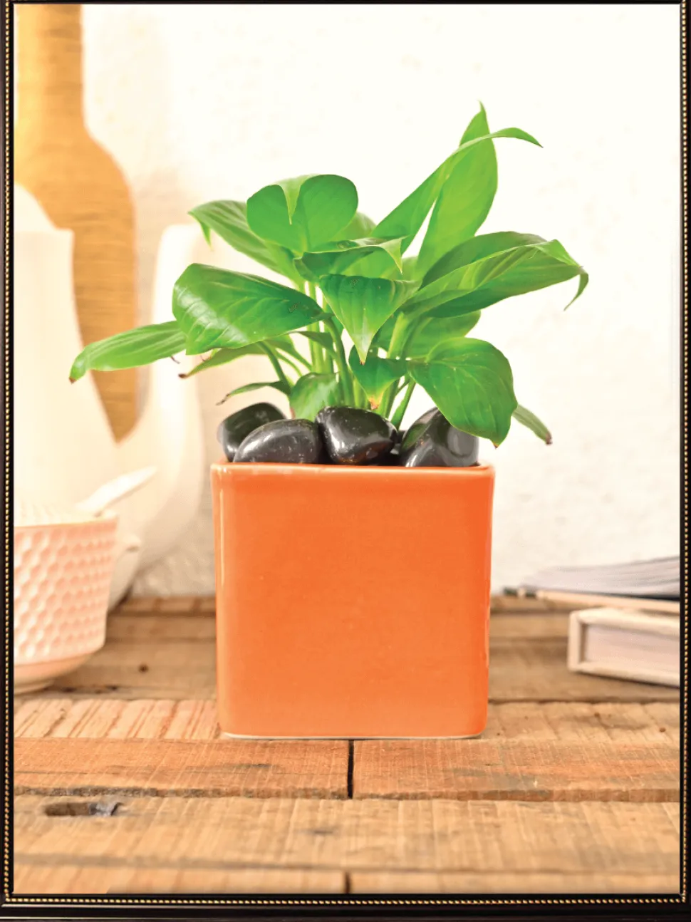 Square Ceramic Pot (3.5 Inch Width)