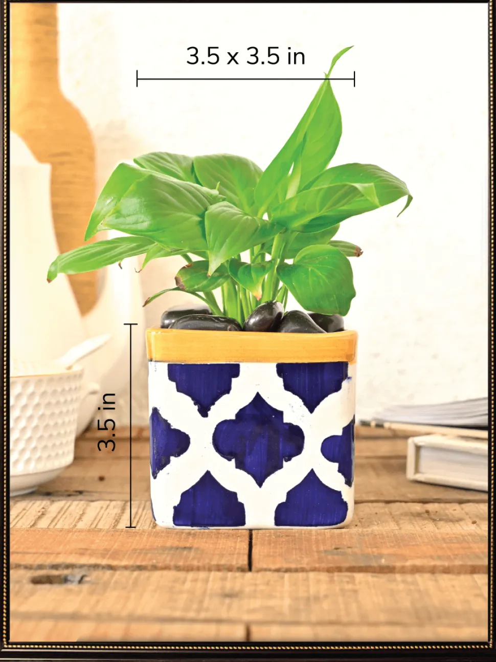 Square Ceramic Pot (3.5 Inch Width)