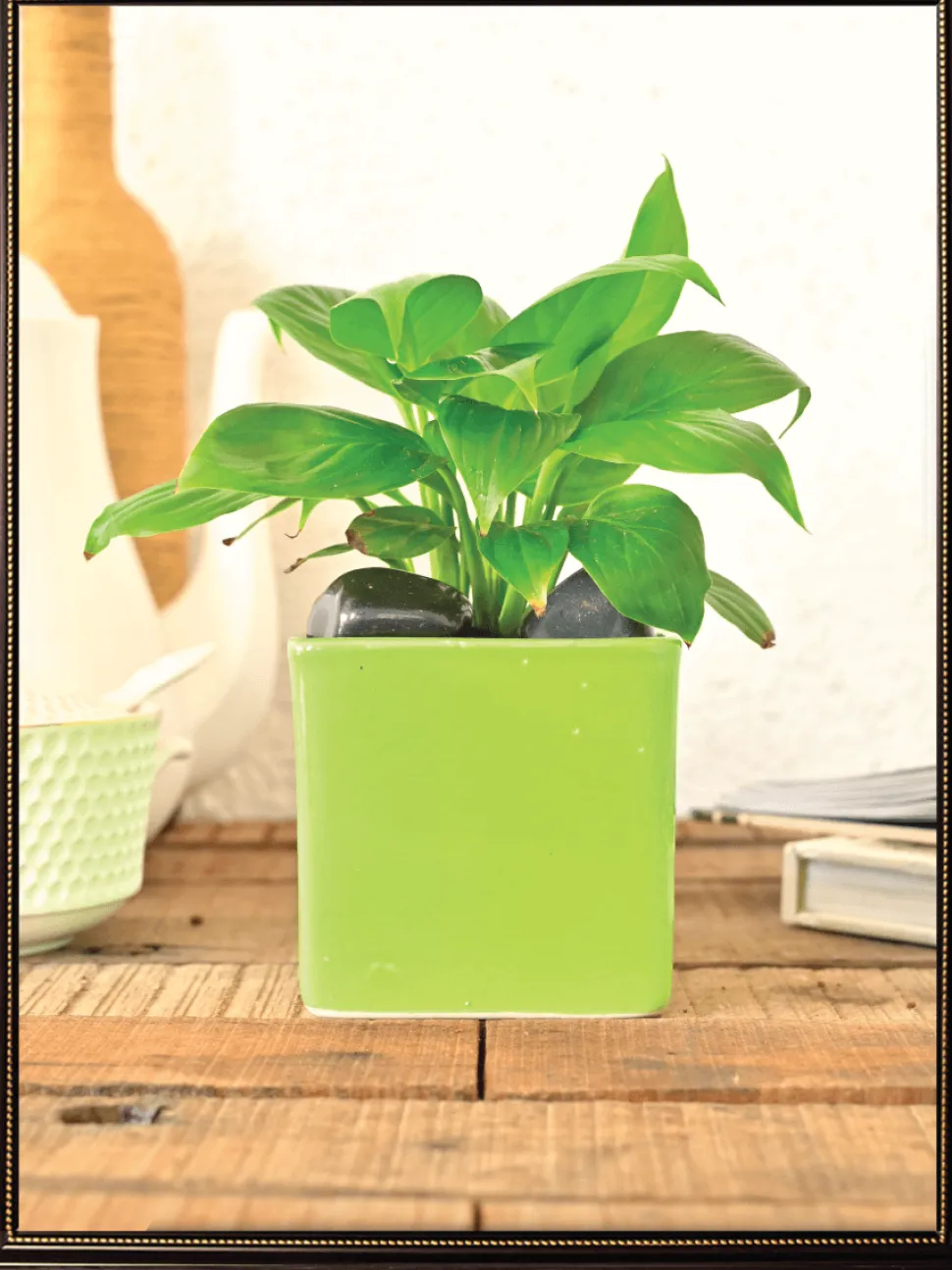 Square Ceramic Pot (3.5 Inch Width)