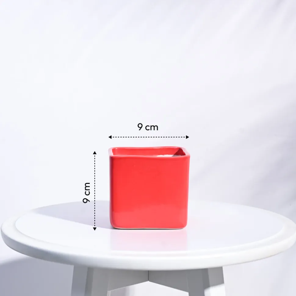 Square Ceramic Pot (3.5 Inch Width)