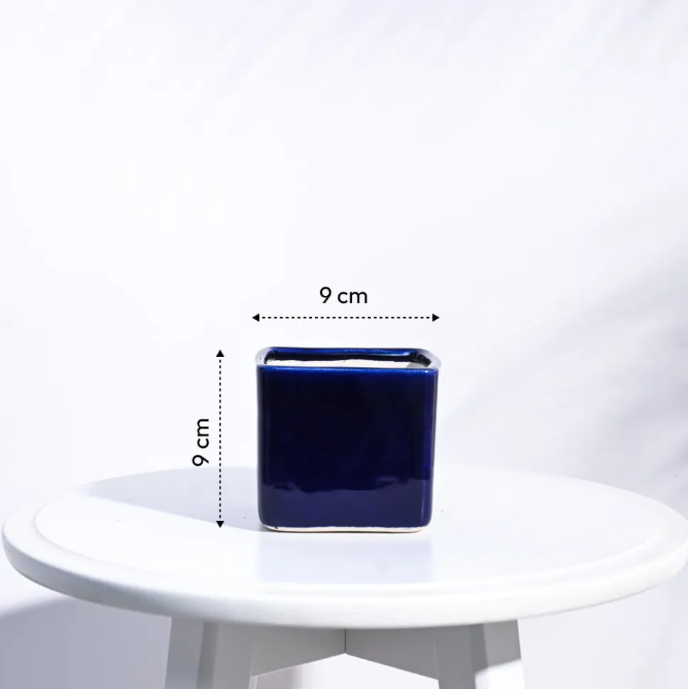 Square Ceramic Pot (3.5 Inch Width)