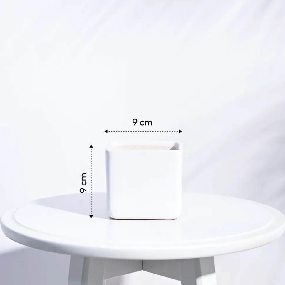 Square Ceramic Pot (3.5 Inch Width)
