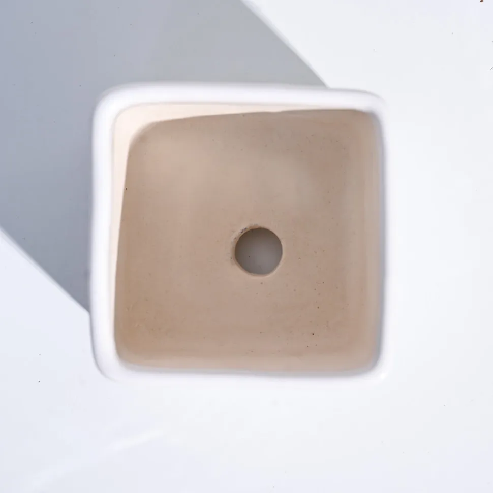 Square Ceramic Pot (3.5 Inch Width)