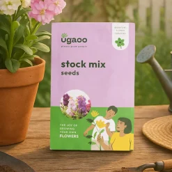 Stock Mix Seeds
