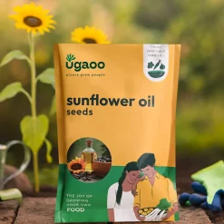 Sunflower Oil Seeds