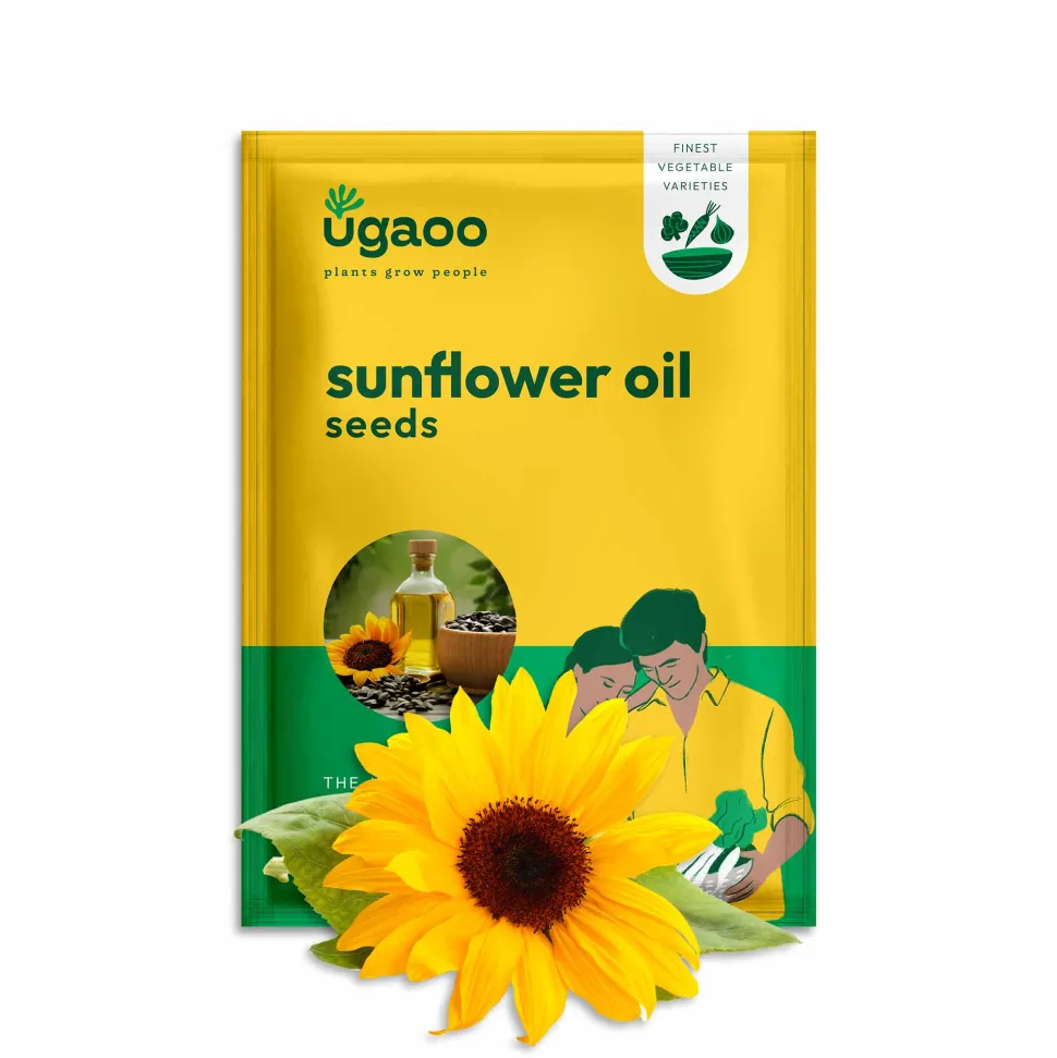 Sunflower Oil Seeds